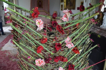 Amaryllis 2022 (013)