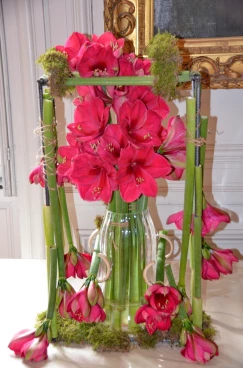 Amaryllis 2022 (050)