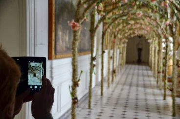 Amaryllis 2022 (036)