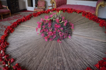 Amaryllis 2022 (152)