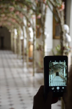 Amaryllis 2022 (037)