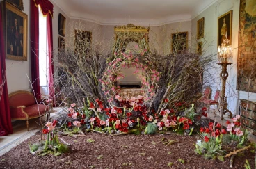 Amaryllis 2022 (023)