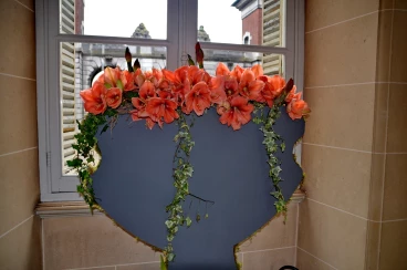 Amaryllis 2022 (068)