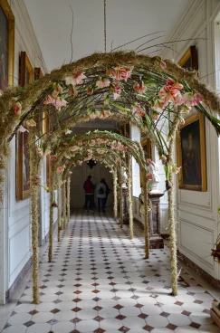 Amaryllis 2022 (027)