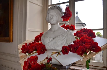 Amaryllis 2023 (027)