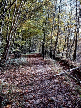 Houssière 102008 010