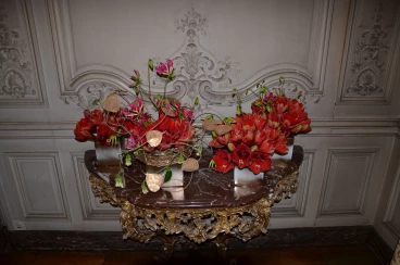 Amaryllis 2023 (055)