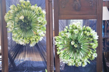 Amaryllis 2023 (061)