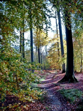 Houssière 102008 008