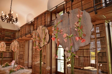 Amaryllis 2023 (040)