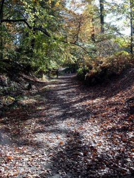 Houssière 102008 006