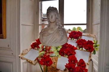 Amaryllis 2023 (028)