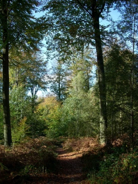 Houssière 102008 001