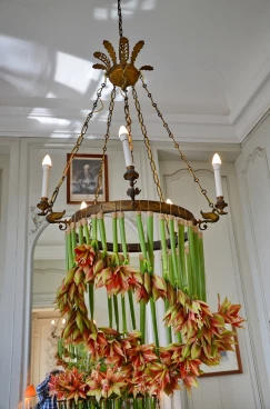 Amaryllis 2023 (009)