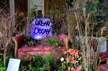 Amaryllis 2023 (020)