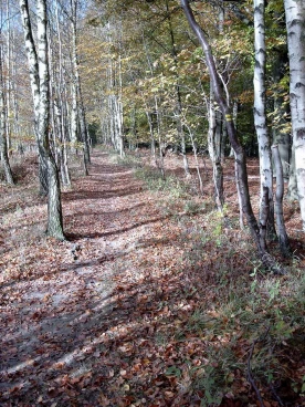 Houssière 102008 011