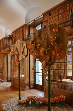 Amaryllis 2023 (039)