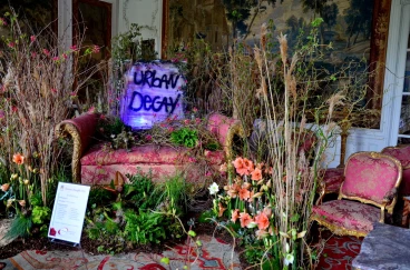 Amaryllis 2023 (021)