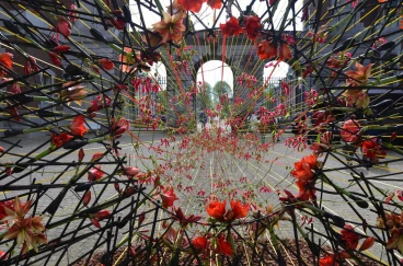 Amaryllis 2023 (004)