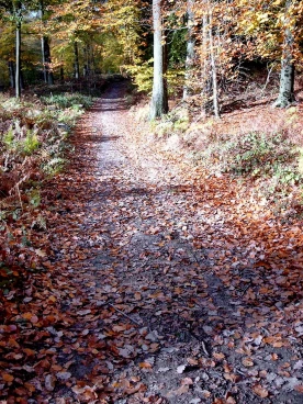 Houssière 102008 009