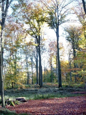 Houssière 102008 004