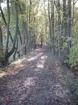 Houssière 102008 003