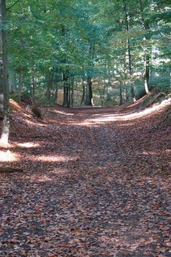 Houssière 102008 012