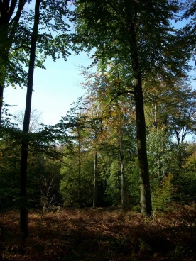 Houssière 102008 002