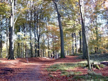 Houssière 102008 005