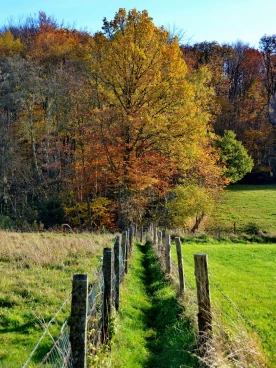 Parcours 2022 Ec 003