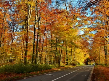 Parcours 2022 Ec 004