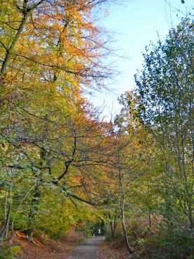 Parcours 2022 Ec 015