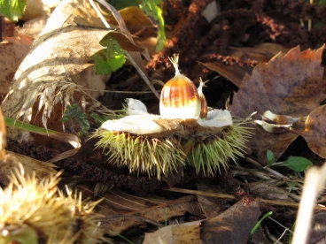 Parcours 2022 Ec 012