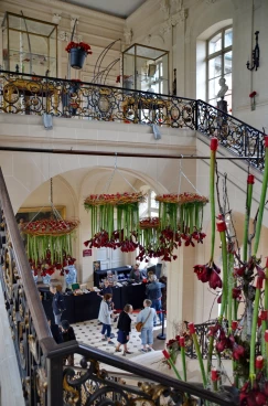 Amaryllis 2022 (137)