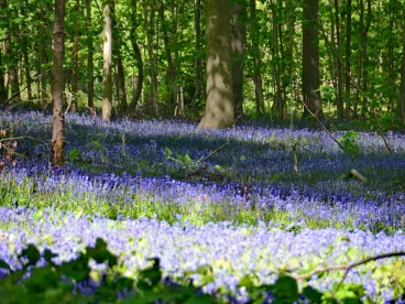 Parcours 2022 Ec 005