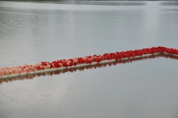 Amaryllis 2022 (116)