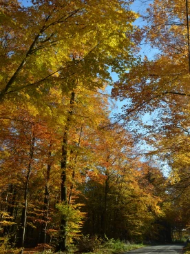 Parcours 2022 Ec 002