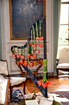 Amaryllis 2022 (087)