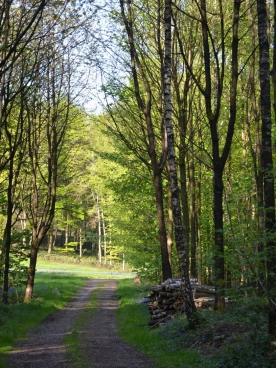 Parcours 2022 Ec 013