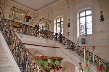 Amaryllis 2022 (140)