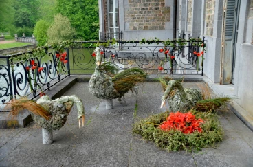 Amaryllis 2022 (107)