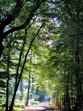 Parcours 2022 Ec 010