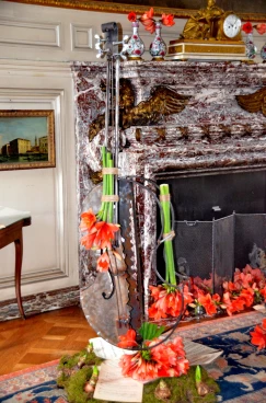 Amaryllis 2022 (084)