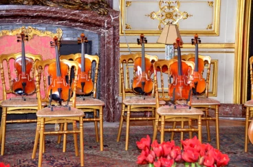 Amaryllis 2022 (105)