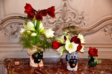 Amaryllis 2022 (079)