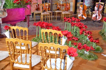 Amaryllis 2022 (101)