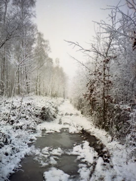 Parcours 2022 Ec 008