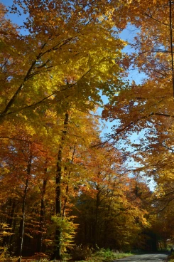 Parcours 2022 Ec 001