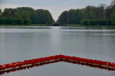 Amaryllis 2022 (118)