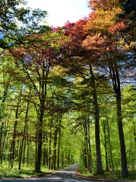 Parcours 2022 Ec 006